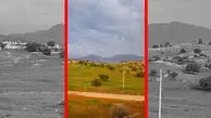 فیلم آرامش دلنشین در طبیعت اندیکا
