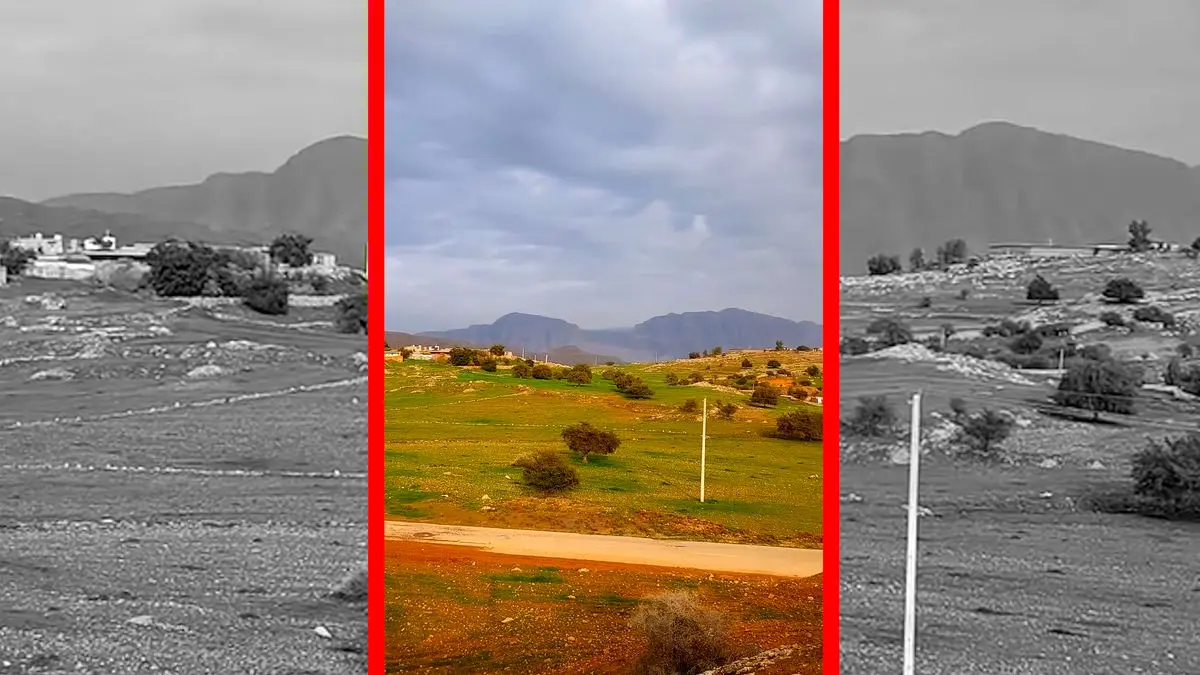 فیلم آرامش دلنشین در طبیعت اندیکا