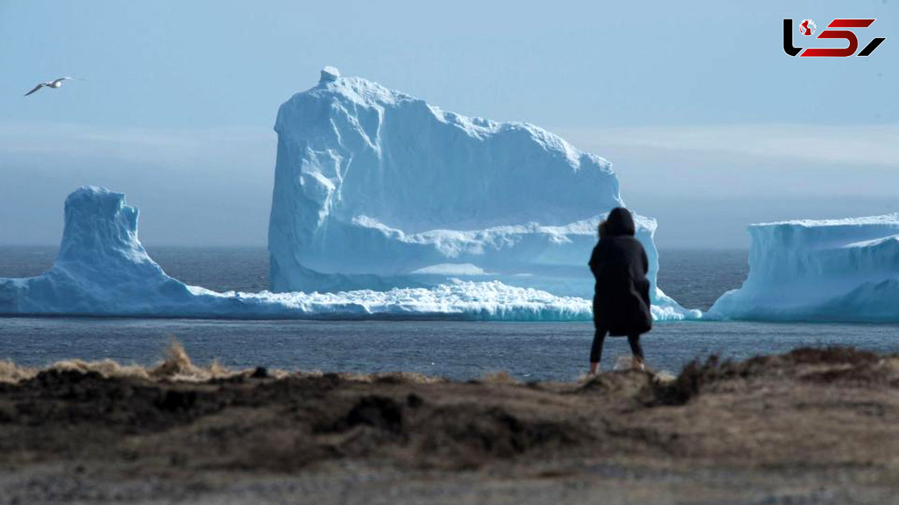 کوه یخی در ساحل کانادا به گل نشست + تصاویر اعجاب انگیز