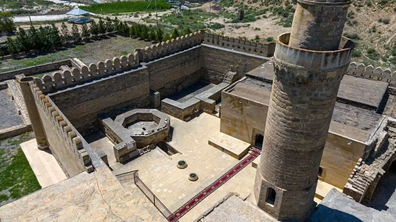 عکس فیل_داشی