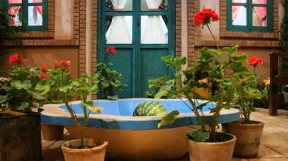 فال روزانه شخصی/ 3 تیر ماه + فیلم