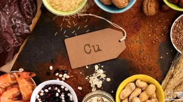 مواد غذایی سرشار از مس؛ کلید تغذیه سالم و بدن قوی