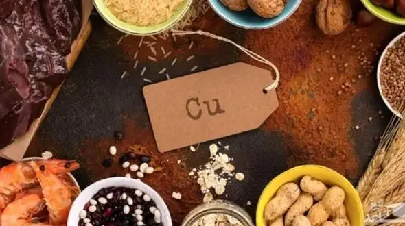 مواد غذایی سرشار از مس؛ کلید تغذیه سالم و بدن قوی