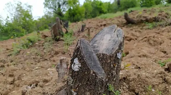 درگیری خونین بین روستاییان بانه