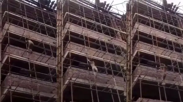 سقوط آزاد مرد ماجراجو از برج نیمه ساخته در ایران + فیلم 