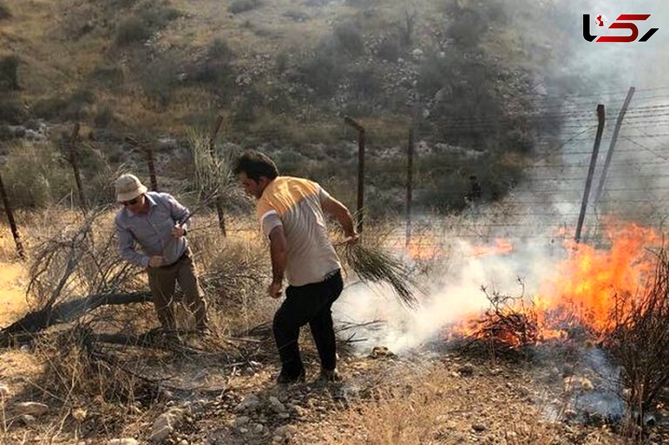 مراتع همدان در 24 ساعت 10 بار آتش گرفت