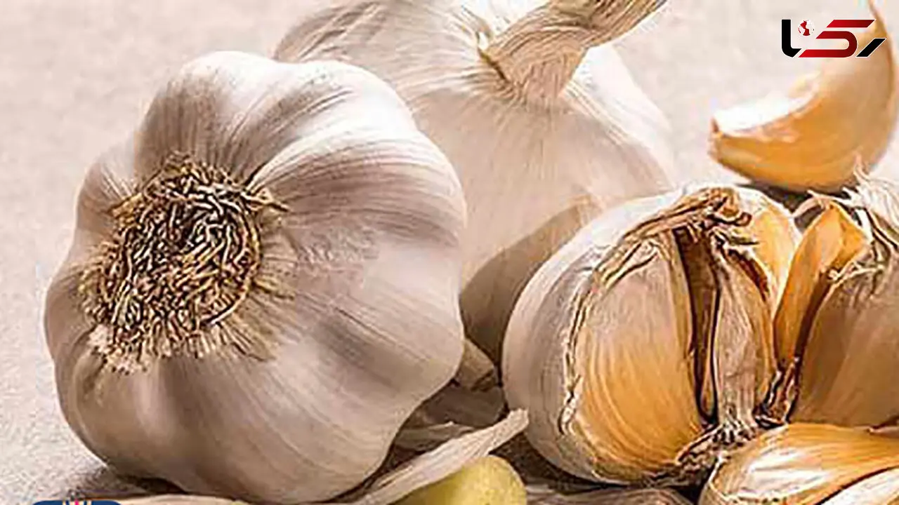 10خاصیت سیر برای شما + اینفوگرافی