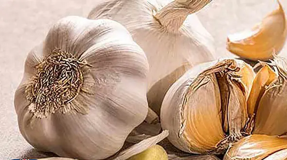 10خاصیت سیر برای شما + اینفوگرافی