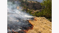 آتش سوزی 2 هکتار از مراتع روستای چالچوق در شهرستان ابهر