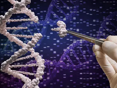 قدرت پنهان DNA می‌تواند روش تولید داروها را دگرگون کند