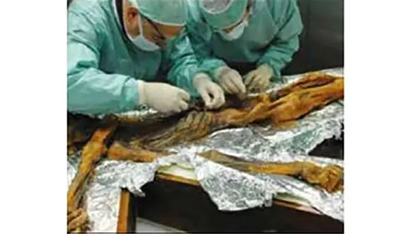 شام آخر مرد یخی + عکس