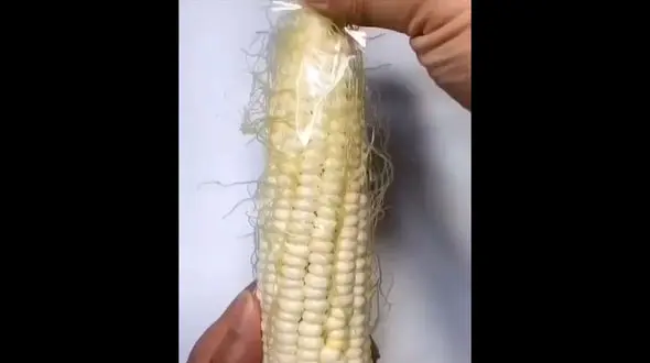 جالب ترین روش کندن اضافه های کاکل بلال + فیلم 