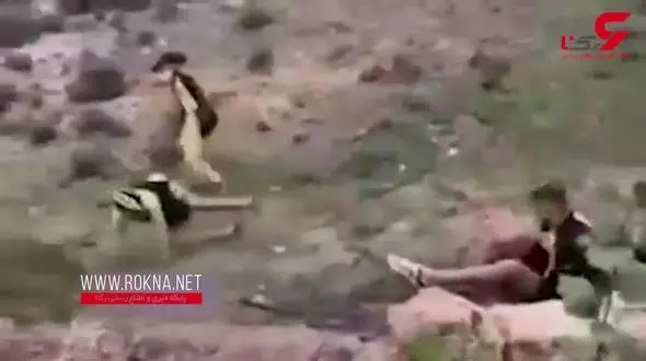 نجات گوزن توسط چند دوچرخه سوار + فیلم