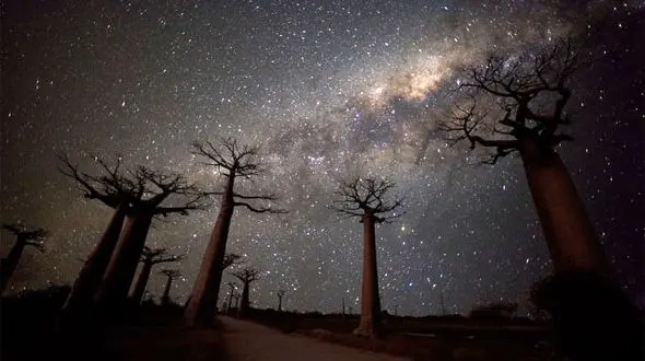 عجیب ترین خیابان کره زمین/ورود به دنیای خیالی+تصاویر