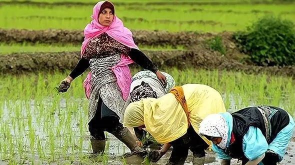 فقر و نابودی محیط زیست ایران در مسیر اشتباه "خودکفایی" / باید سه ساله صنایع را توسعه دهیم تا از کشورهای منطقه عقب نمانیم