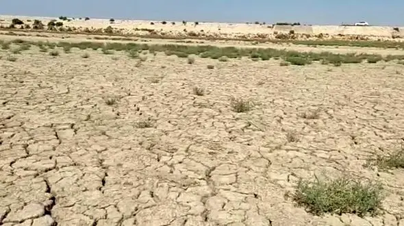 سه تالاب بین المللی گلستان پر آب شد/ آیا این خبر خوشحالی دارد؟