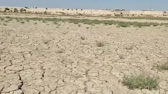 سه تالاب بین المللی گلستان پر آب شد/ آیا این خبر خوشحالی دارد؟