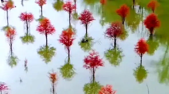 از پاییز رنگارنگ و درختان زیبای دریاچه الندان تا ارتفاعات کلاردشت