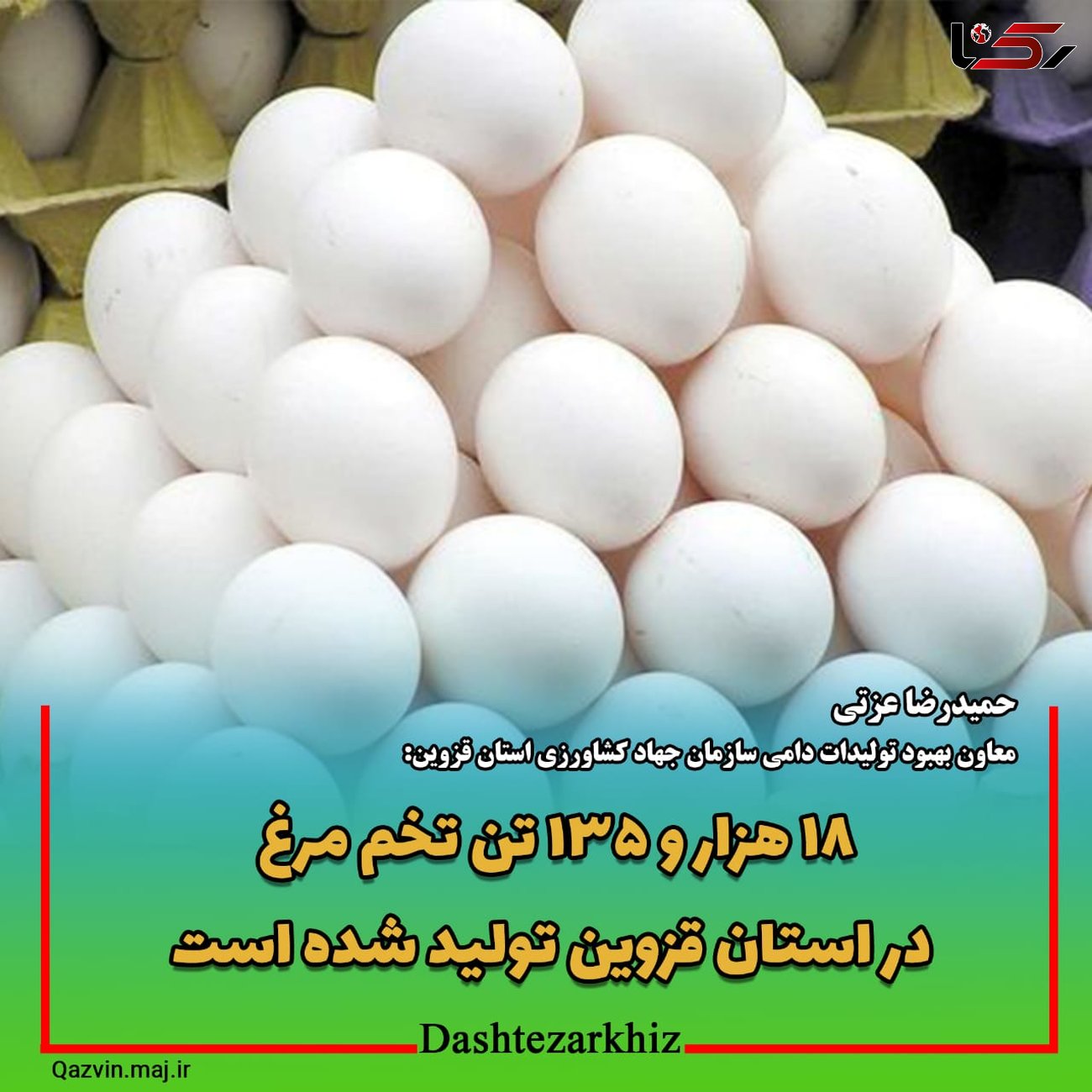  ۱۸ هزار و ۱۳۵ تن تخم مرغ در استان قزوین تولید شد
