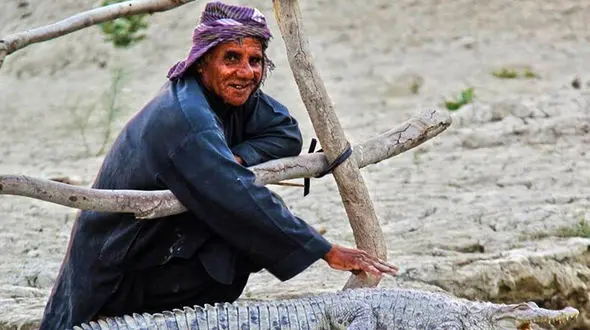 ملک‌ دینار شجره پدر تمساح‌های ایران؛ پیرمرد بلوچی که زبان تمساح‌ها را می‌فهمد!