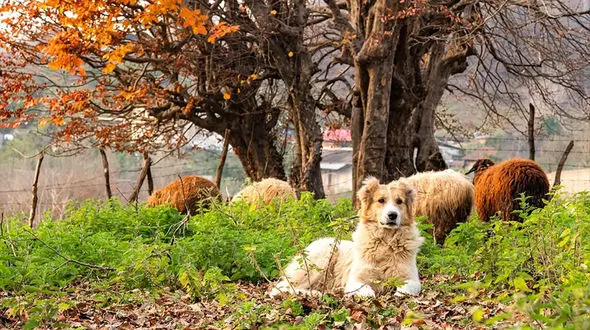 فال روزانه 10 مهر ماه