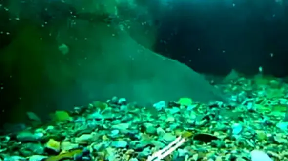 دره سکنج آکواریوم طبیعی در استان کرمان + فیلم