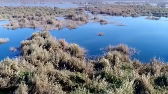 آبگیری ۵۷ درصدی تالاب هورالعظیم/تلاش دیپلماتیک برای پیشگیری از آتش‌سوزی احتمالی بخش عراقی تالاب هورالعظیم

