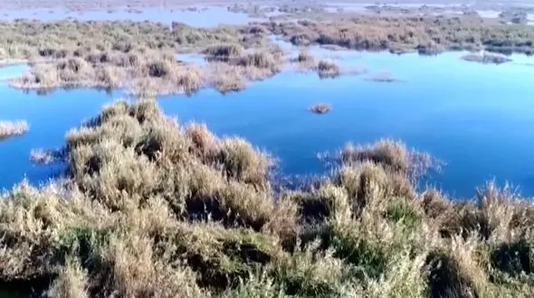 آبگیری ۵۷ درصدی تالاب هورالعظیم/تلاش دیپلماتیک برای پیشگیری از آتش‌سوزی احتمالی بخش عراقی تالاب هورالعظیم

