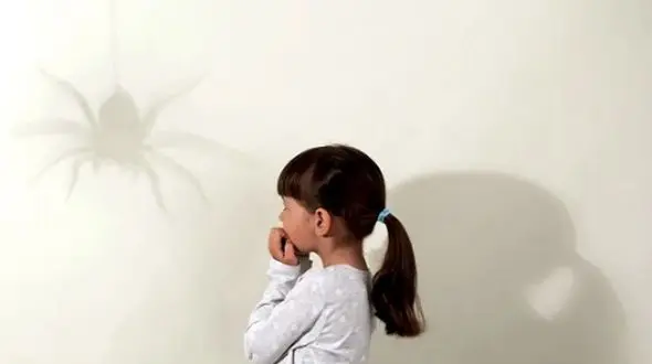 چرا حشرات باعث ترس انسان ‌ها می ‌شوند؟ / دلایل علمی و روانشناختی
