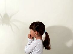 چرا حشرات باعث ترس انسان ‌ها می ‌شوند؟ / دلایل علمی و روانشناختی