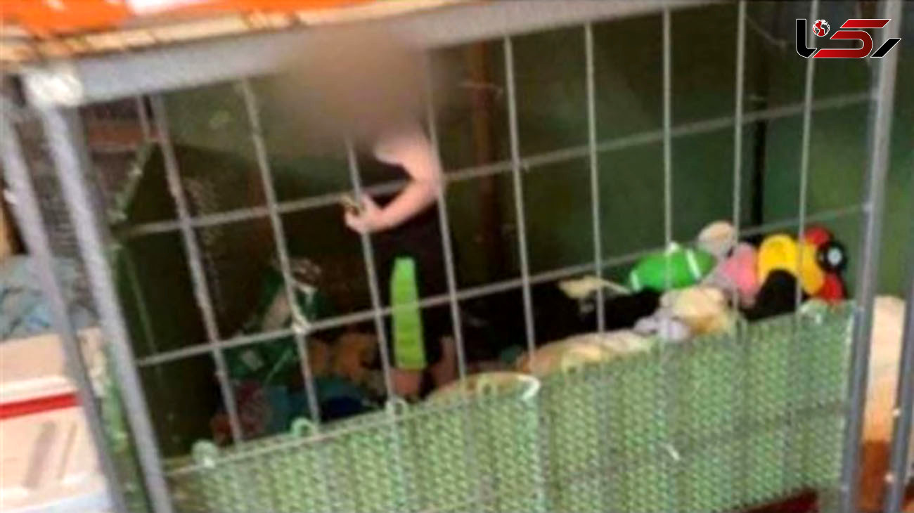 کشف کودک 18 ماهه در قفس سگ و موش + عکس