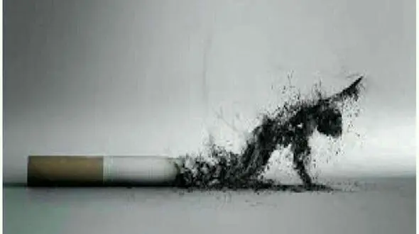 ضرورت مصرف برخی آبمیوه ها بعد از ترک سیگار