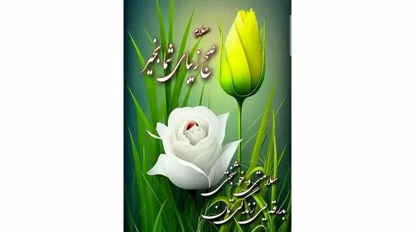 فال ابجد امروز 3 بهمن + فیلم