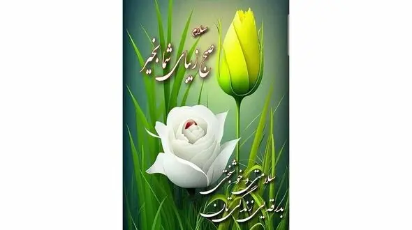 فال ابجد امروز 3 بهمن + فیلم