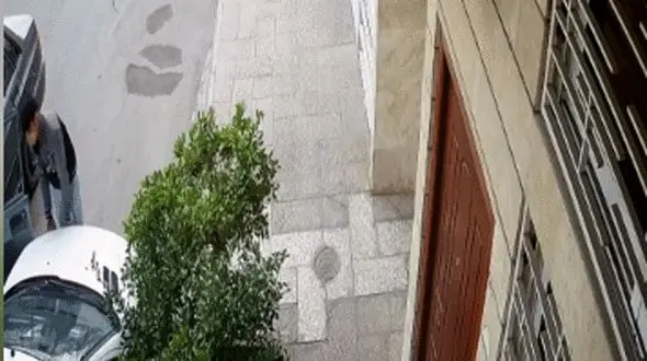 سرقت باتری پژو ۲۰۶ در ۲۰ ثانیه / در روز روشن رخ داد  + فیلم