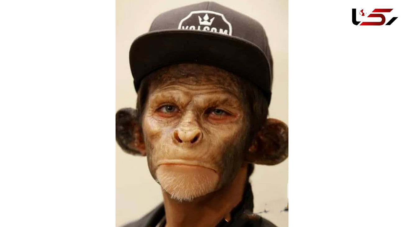 این میمون کدام آقای بازیگر است؟  / چقدر تفاوت !