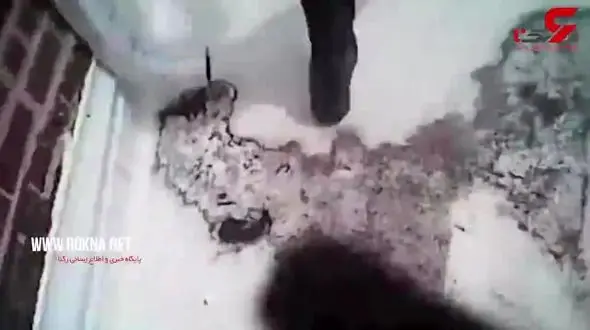 شلیک اشتباهی پلیس به پسری جوان روی پشت بام خانه اش+فیلم