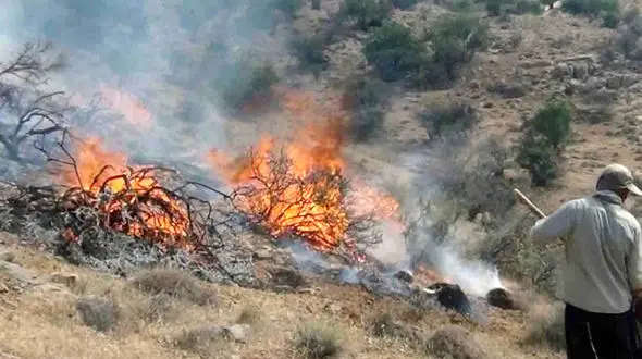 در این روستا همه دهقان فداکارند !