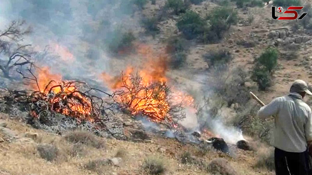 آتش سوزی 40 هکتار از مراتع آزادشهر