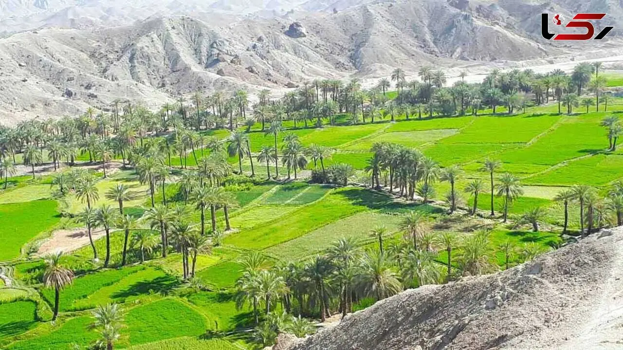 فروش زمین روستایی به غیربومی‌ها ممنوع می‌شود؟