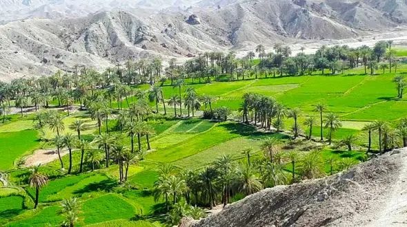 فروش زمین روستایی به غیربومی‌ها ممنوع می‌شود؟