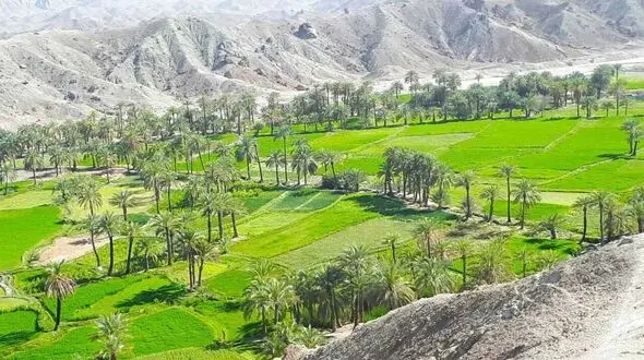 سفر به روستایی در زاهدان + فیلم