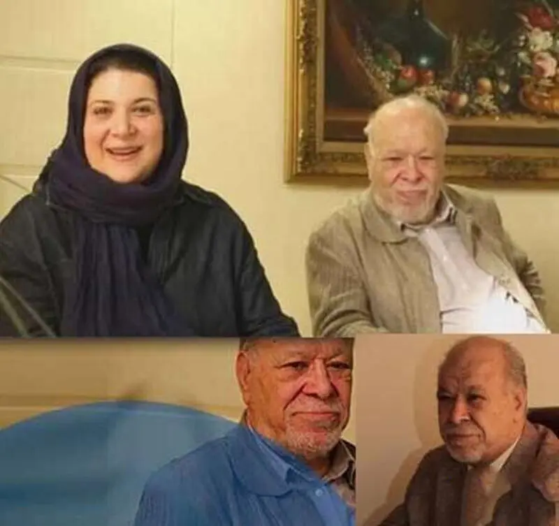 سریال پایتخت