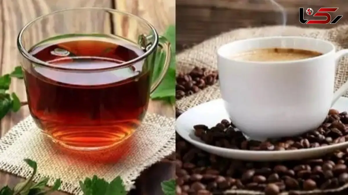 قهوه بهتر است یا چای؟ رازهای تاثیرگذاری این 2 نوشیدنی برای سلامت