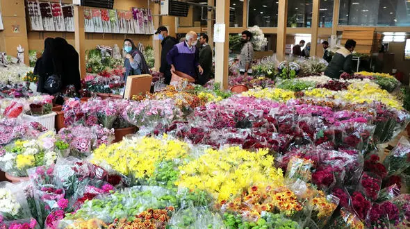 وضعیت اقتصادی اجازه نمی دهد مردم گل بخرند / عروسی ها و مهمانی ها کاهش یافته است !