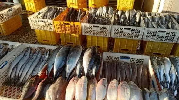 افتتاح بزرگترین بارانداز ماهی مرکز کشور در اصفهان