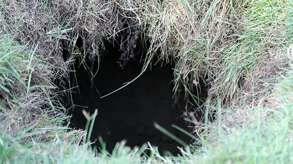 جزییات جدید از مرگ هولناک کودک 4 ساله در چاه فضای سبز سه راه افسریه / شهرداری توضیح داد + عکس