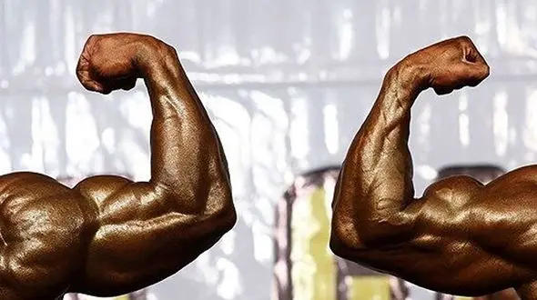 ورود وزنه‌برداری به ماجرای خروج ارز در بدنسازی! / انوشیروانی: اطلاعی ندارم