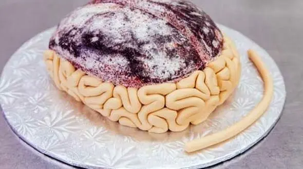 پخت چندش آورترین کیک جهان+عکس