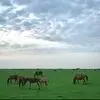 دو جای زیبا و دیدنی